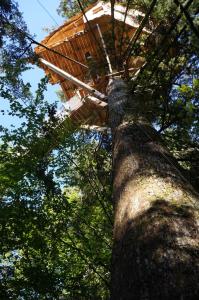 Chalets Cabanes des Volcans : photos des chambres