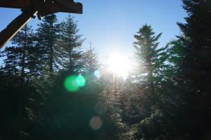 Chalets Cabanes des Volcans : photos des chambres