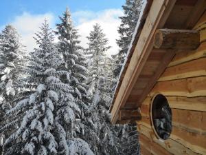 Chalets Cabanes des Volcans : photos des chambres