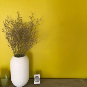 Appartements DUPLEX 15 : photos des chambres