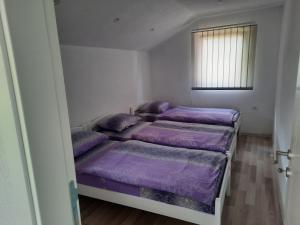 Apartment room in Guest House Šobić