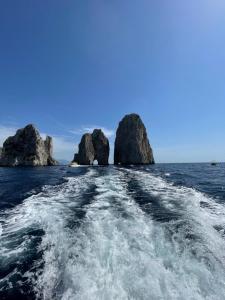 Giardino Del Vesuvio, Pompei