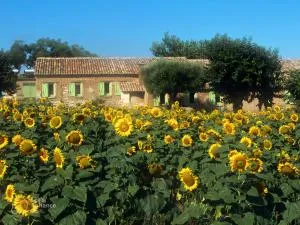 Il Canto di Kokopelli Country Houses - Spilinga
