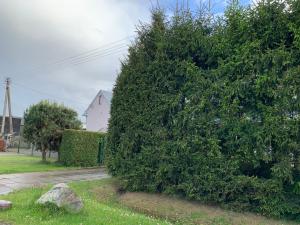 Green house Ramuciai