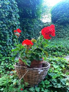 Habitación Doble con baño privado
