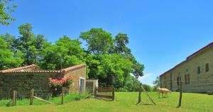 Maisons d'hotes Gite En Pascot entre Toulouse et Carcassonne, jusqu'a 6 personnes, 1 appartement avec sdb et cuisine privatives et 2 chambres mitoyennes avec sdb et commodites repas communes, a 10 mn en voiture Canal du Midi, commerces, lacs, aquaparc, waterjump, paddle : photos des chambres