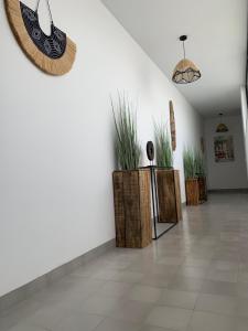Casa Bamboo Tavira