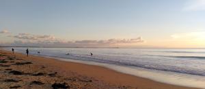 Appartements Le studio du dolmen a Plouharnel : photos des chambres