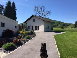 Maisons de vacances Le Domaine du Faye : photos des chambres