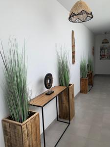 Casa Bamboo Tavira