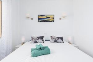 MEDANO4YOU The Jungle Terrace