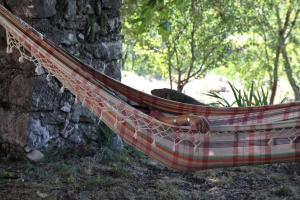 Maisons de vacances Le Mas de Mo, au coeur des paysages du Verdon : photos des chambres