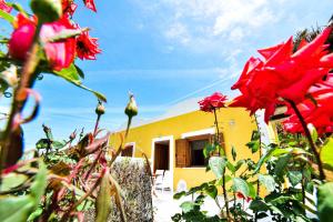 SOLEMAREPONZA Casa il Bacio del Sole