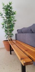 Apartamento C2 1Dormitorio