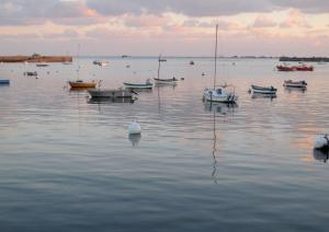 Maisons de vacances 