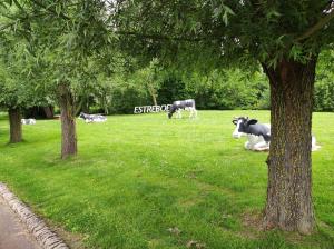 Appartements Sejour inoubliable en baie de SOMME, logement neuf : photos des chambres