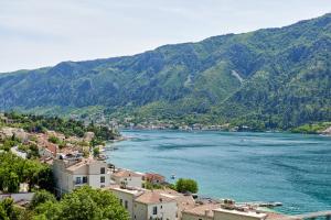 Olgas Piece of Paradise in Kotor