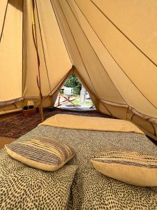 Aparra Surfcamp Auberge Hendaye