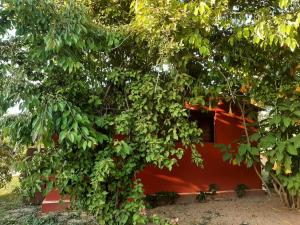 casa di campagna dal pozzo img14