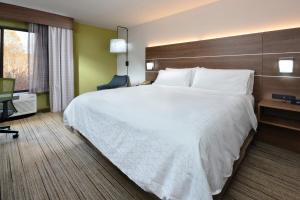 Standard King Room with Mobility Accessible Tub room in Holiday Inn Express Raleigh-Durham Airport an IHG Hotel