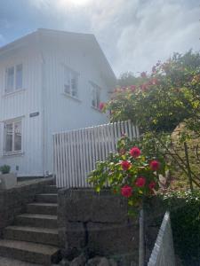 Cozy house in central Lysekil, 4-6 beds