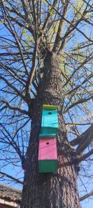 Agroturystyka Banachy 50