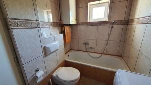 Holiday home in Siofok - Balaton 19917