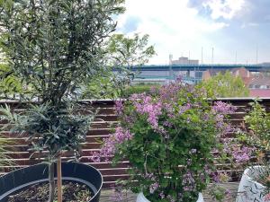 Appartements The ROOF - LILLE GRAND PALAIS : photos des chambres