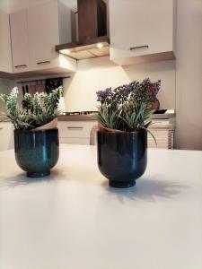 Trilocale Dory a San Teodoro