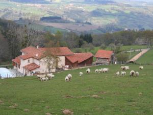 Maisons de vacances Gite Saint-Martin-la-Sauvete, 7 pieces, 12 personnes - FR-1-496-178 : photos des chambres