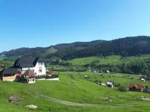Bucovina mea - Jzwor