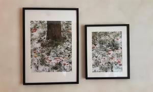 Appartements Pomme neige : photos des chambres