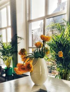 Elf bed and breakfast