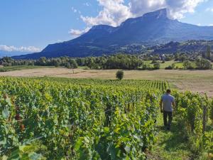 Domaine des Granges Longes