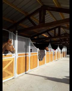 Sejours a la ferme Les gites de ninon : photos des chambres