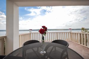 Apartment with Sea View room in Hotel Lucija