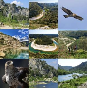 Maisons d'hotes Le Cherche Midi, entre Nimes, le Pont du Gard, Uzes, Arles : photos des chambres