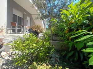 Home sweet apartments