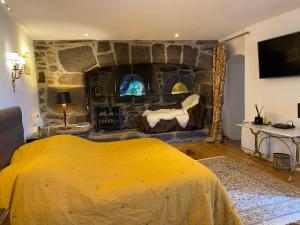 B&B / Chambres d'hotes Chateau du Puech : photos des chambres