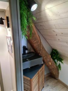 Appartements Appartement de 3 chambres avec sauna jardin clos et wifi a Arrens Marsous a 5 km des pistes : photos des chambres