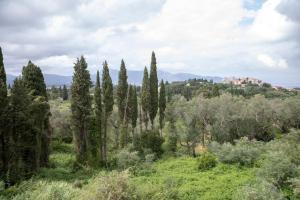 Summer Moments Pool Villa