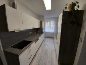 Apartmán Eva - plně vybavený byt - Týn nad Vltavou