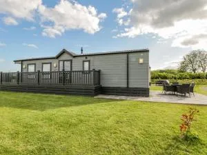 Happy Daze - Carnaby