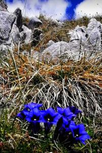 Appartment Rettenwender