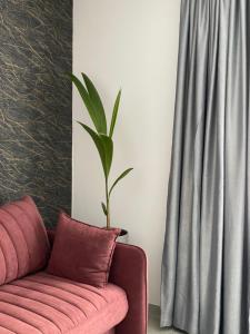 Apartamentai Rokiškio Senamiestyje