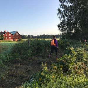 Hälsingegården Erik-Anders