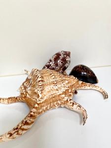 A secluded self contained Country Suite with a view - parking, easy access to Bath