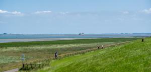 Antibes 232 - Kustpark Village Scaldia