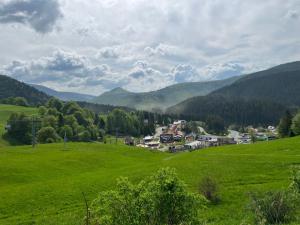 Donovaly, apartman Kečka - Donovaly, Šafrán