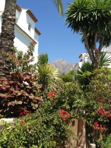 STUNNING 175 m2 APARTMENT with TERRACE and JACUZZI